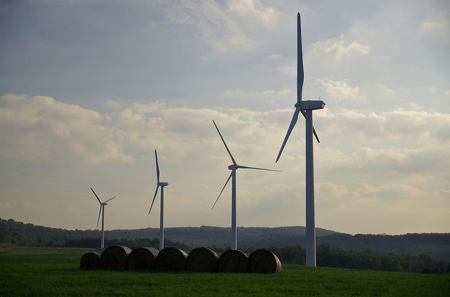 somerset-wind-farm.jpg