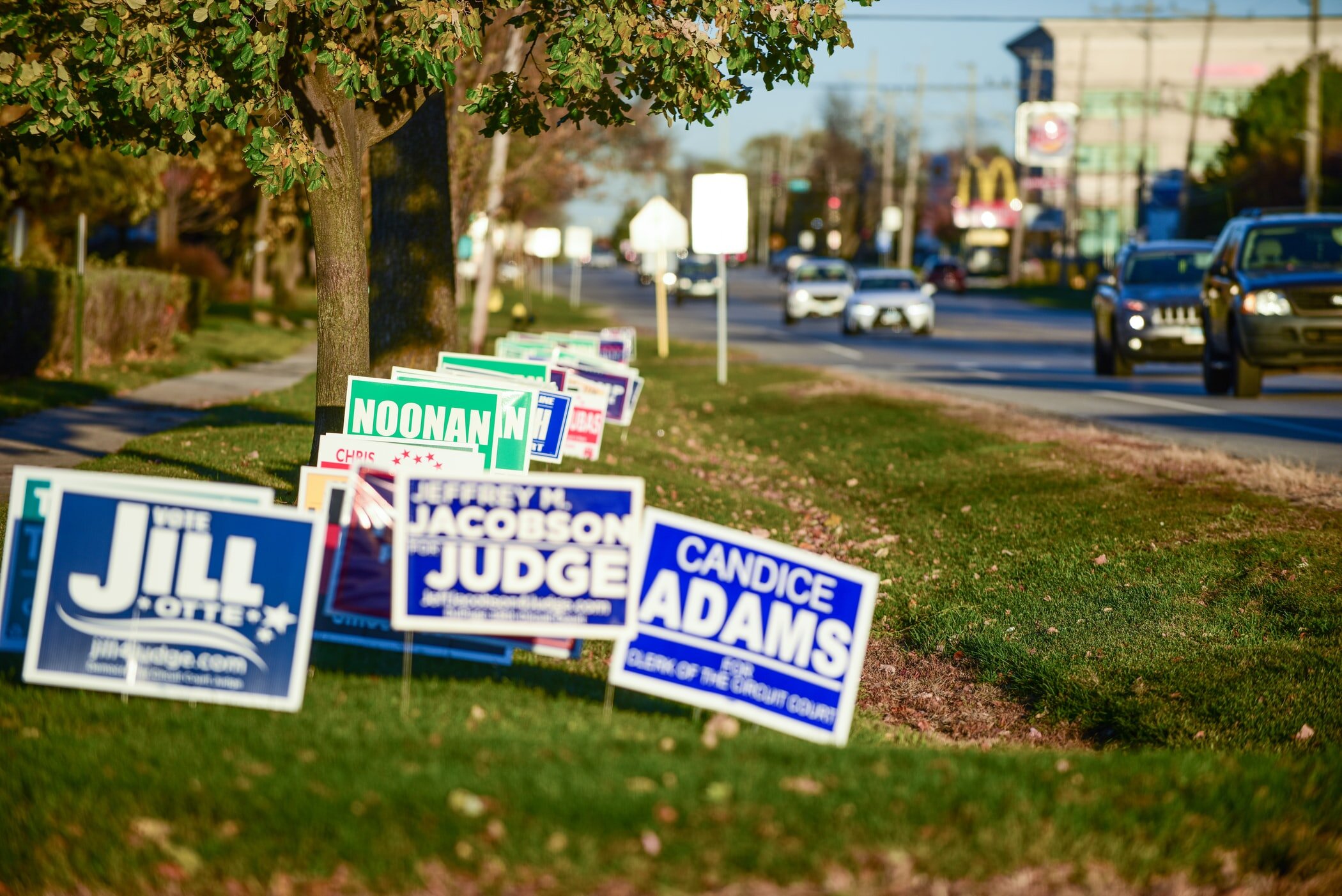 a roadside lined with political campaign yard signs
