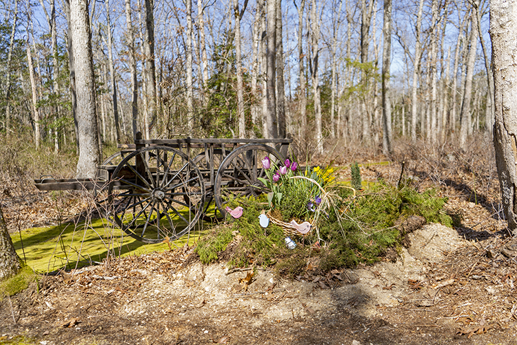 A green burial site at Steelmantown Cemetery brims with flowers.