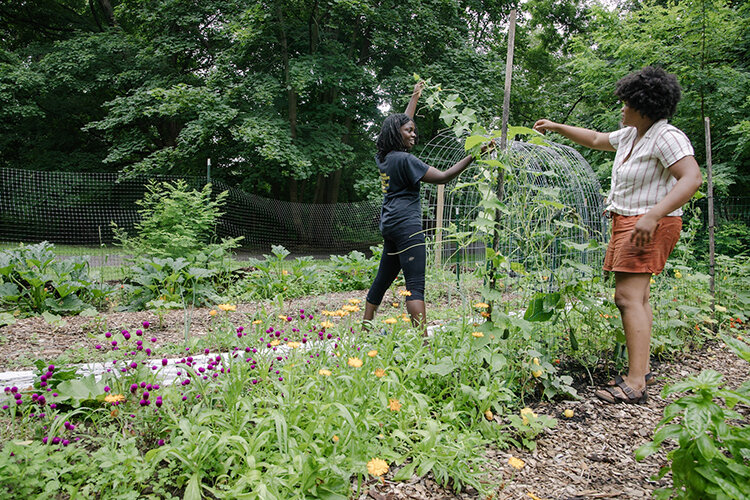 Bakari Clark (left) and Jasmine Thompson of Philly Forests work on their East Germantown food forest. Photography by Rachael Warriner.
