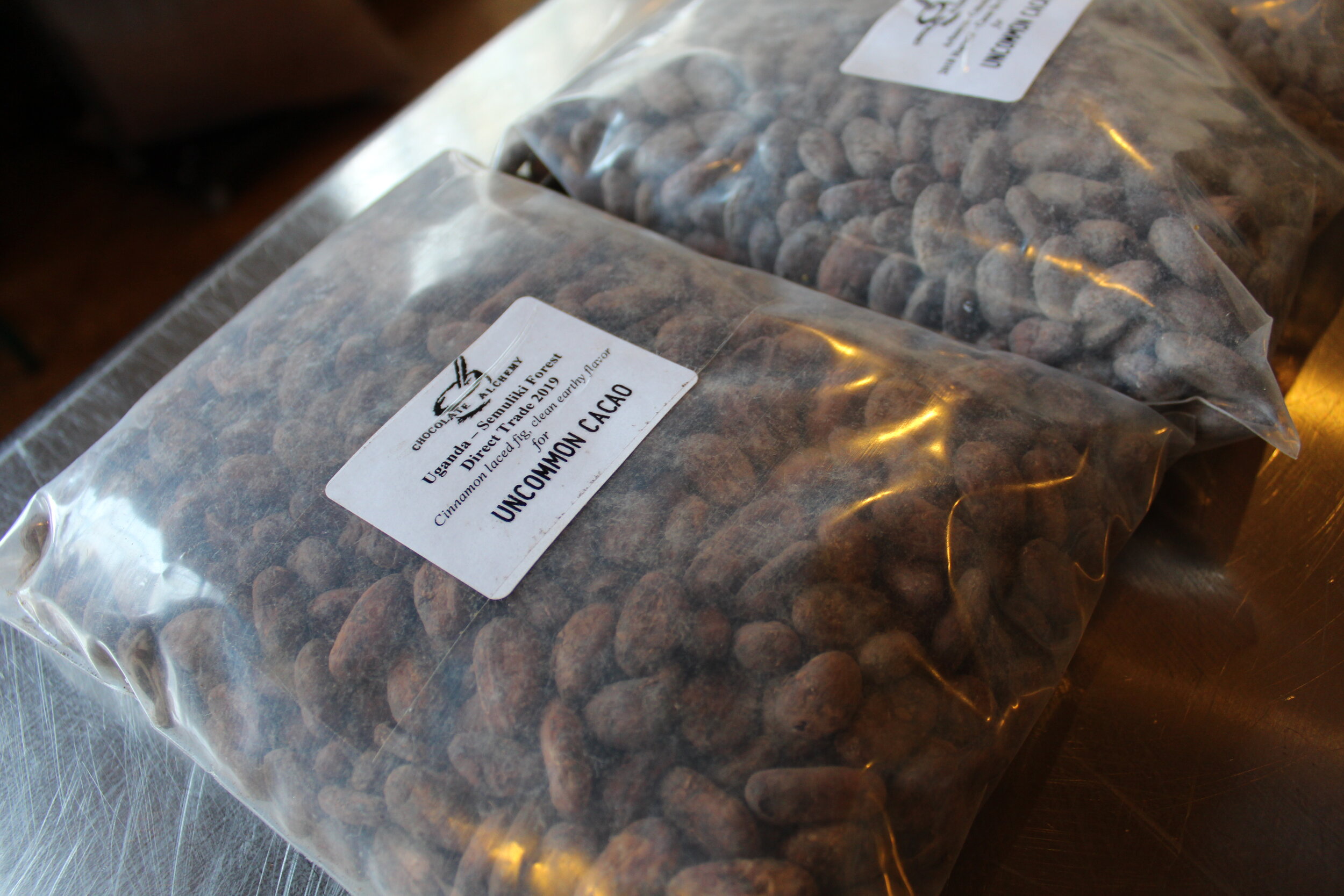 Cacao Beans Samples from Uncommon Cacao.jpg