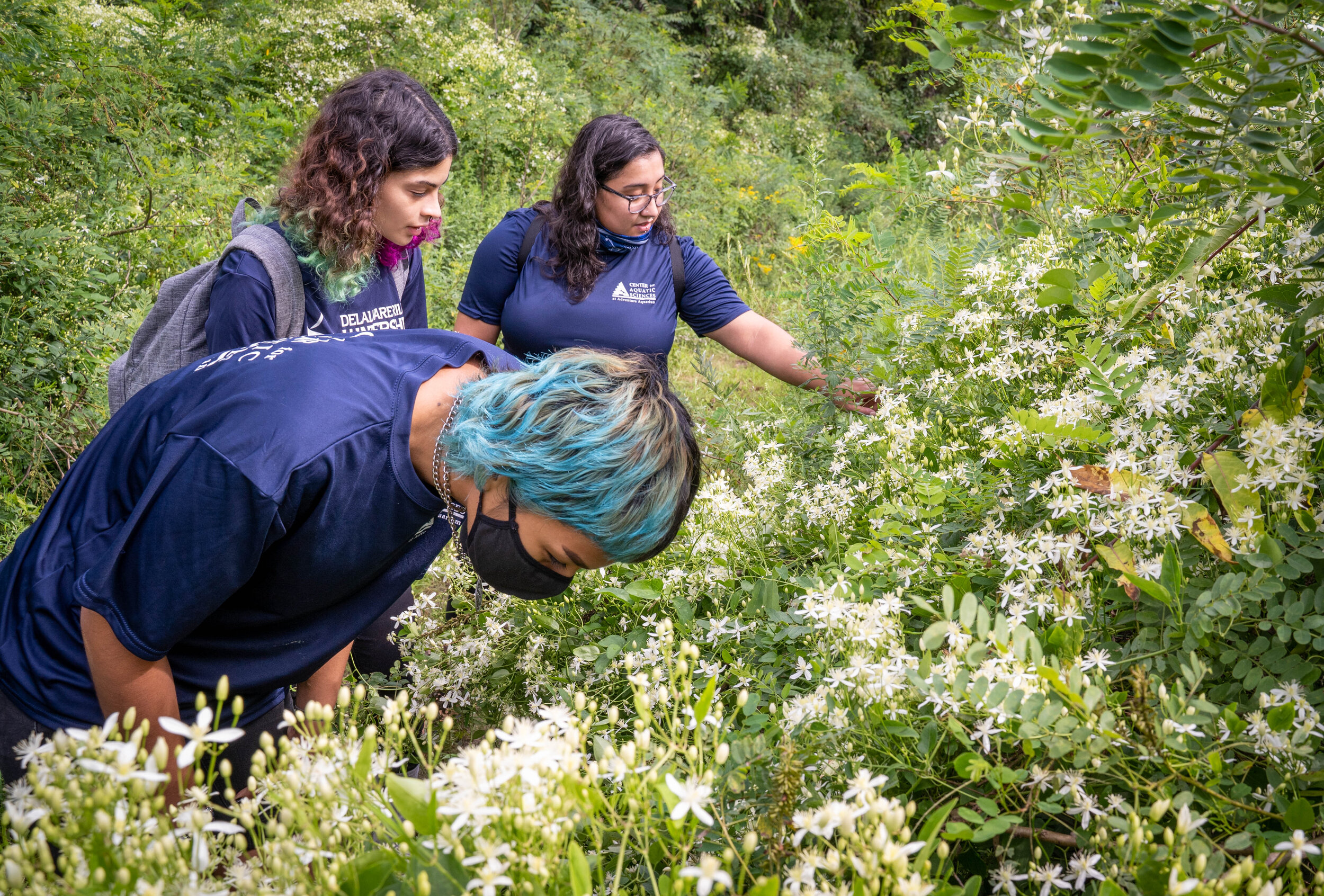 From front to back,Adriana Amador-Chacon,Priscilla Rios, and IvanaQuinones examine flowersinside the Cramer Hill Nature Preserve.