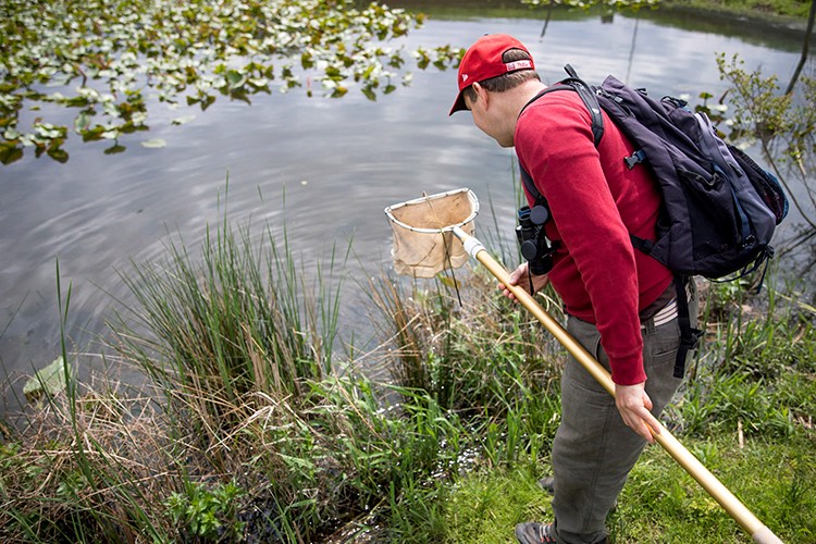 Man stands with net at edge of wetland