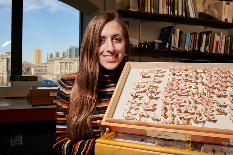 Isa Betancourt holds a drawer full of pinned moth specimens