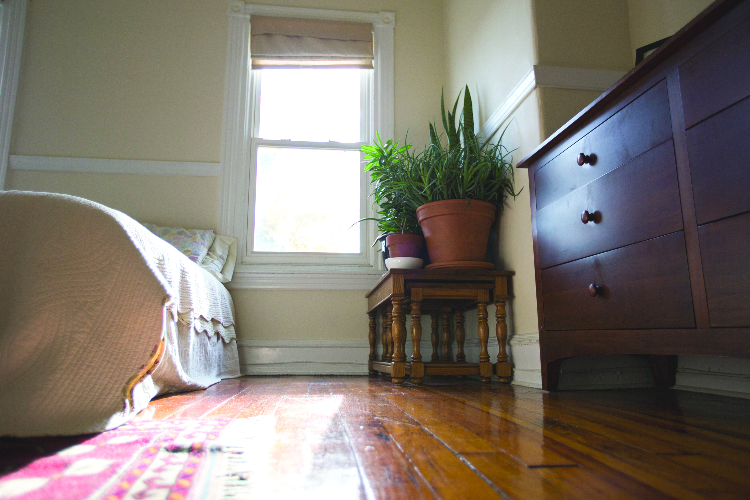 The light-filled, West Philadelphia bedroom of Ayse Unver.