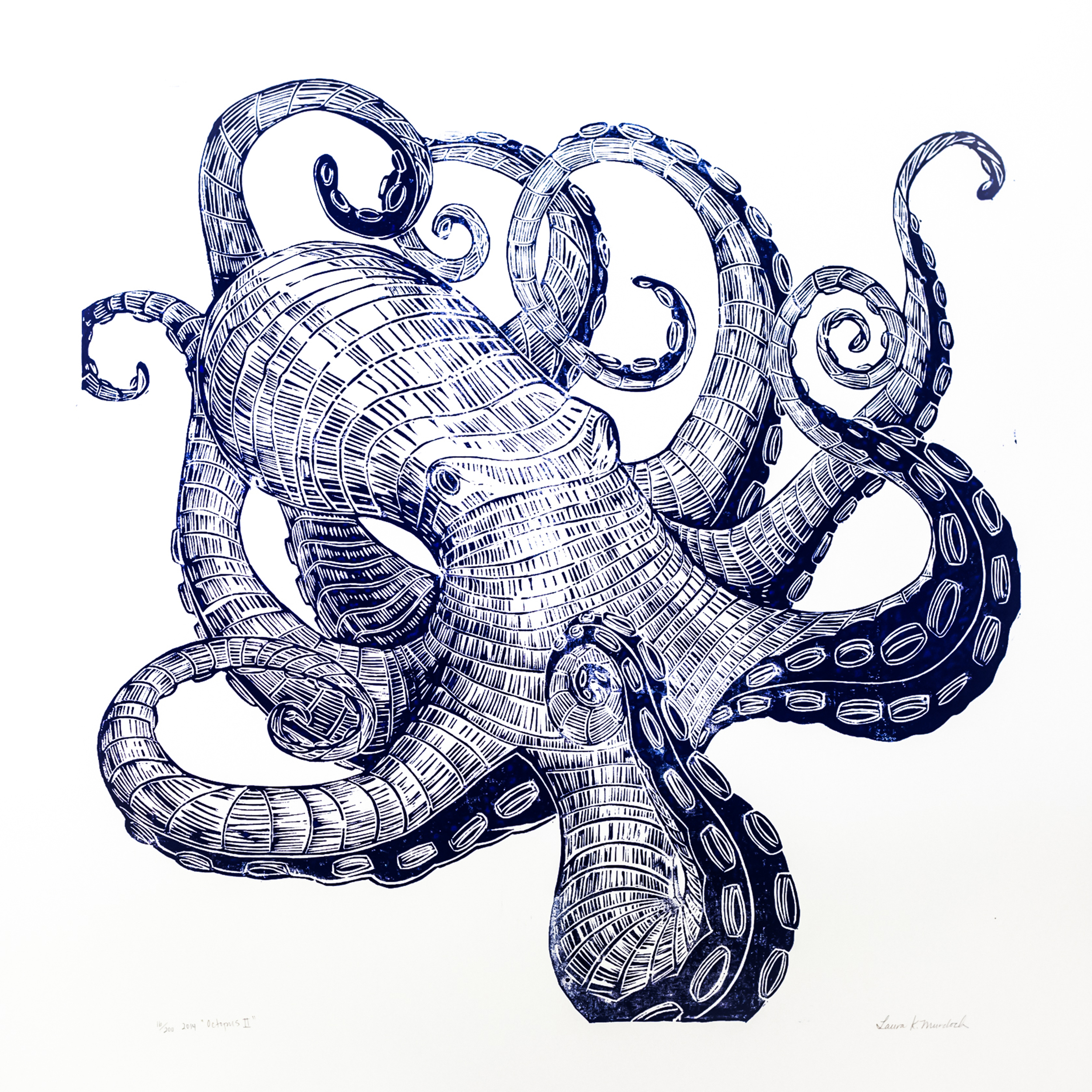 Octopus-2.jpg