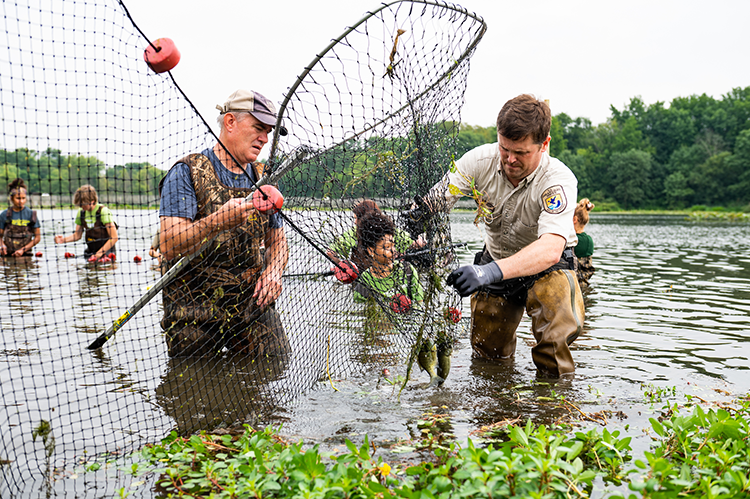 Park staff and volunteers catch invasive common carp and northern snakehead at a roundup event. Photography by Chris Baker Evens.