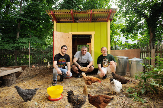  Tom Martella, Vincent Cuinn and Apollo Heidelmark take care of seven hens in East Germantown.  