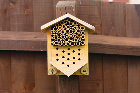 This bees box has both tube bundles and nesting blocks for native, solitary bees