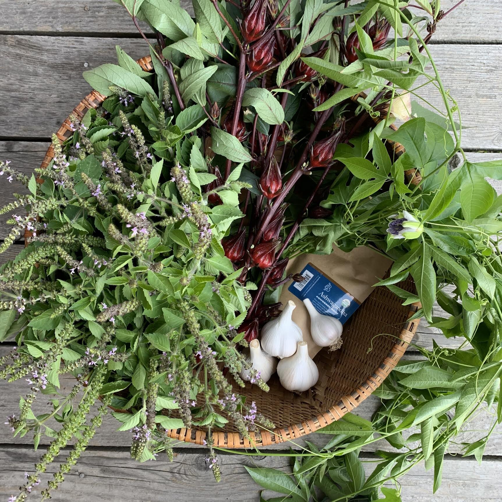 basket of herbs and garlic