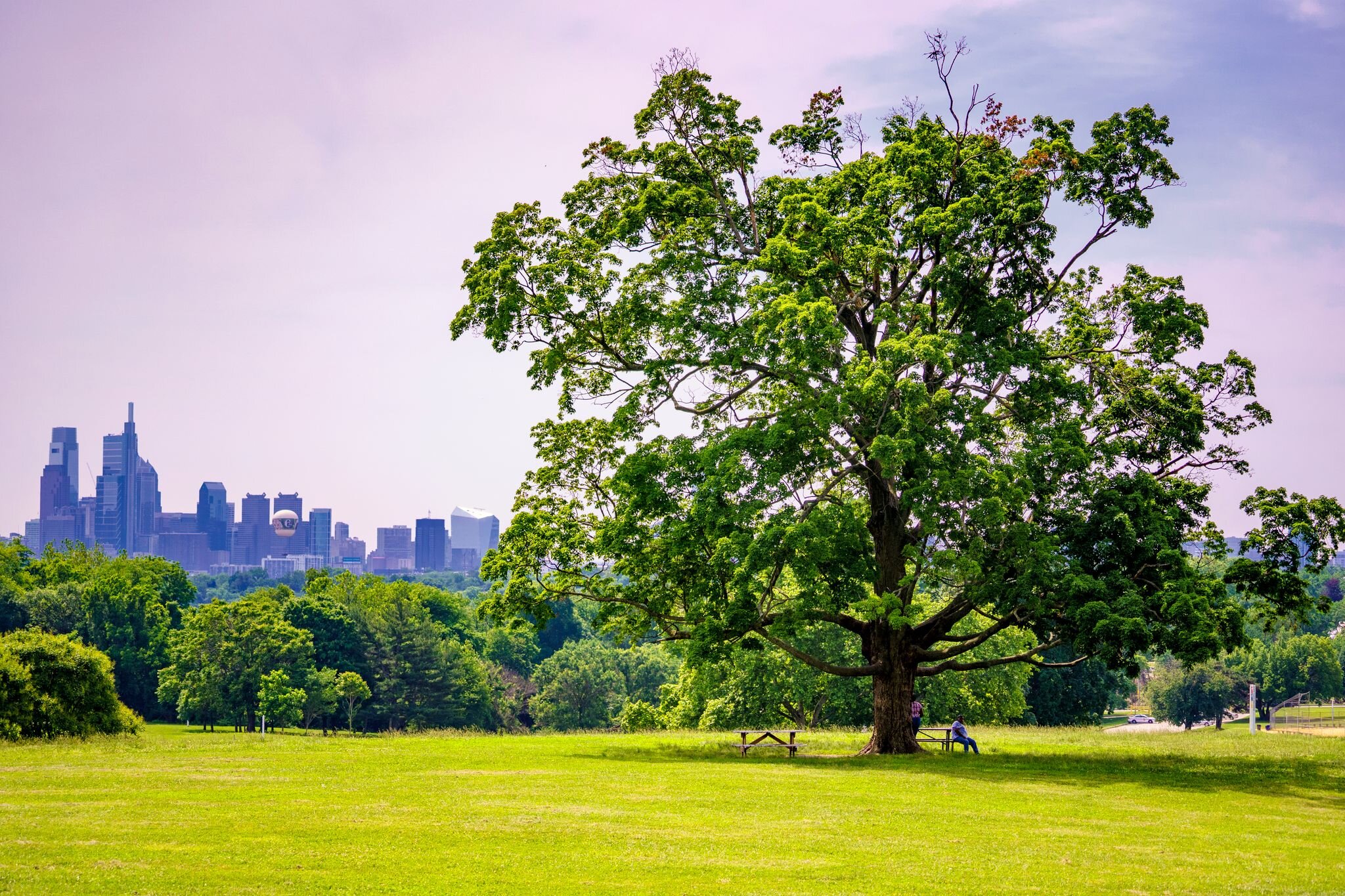 Fairmount Park with the skyline in the distance. Photography by Rachael Warriner.