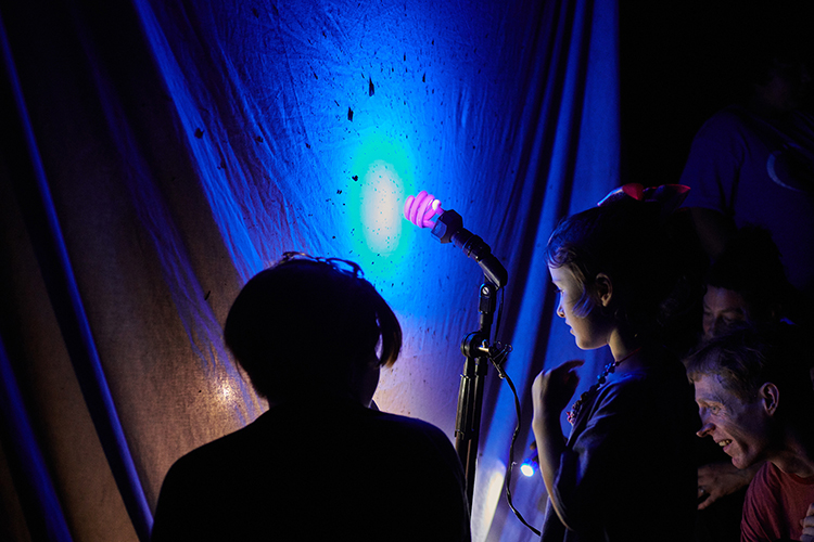 Attendees at a Moth Night event held by Bartram’s Garden study the hundreds of insects that have flocked to the white backlit sheet. (Photography by Albert Yee).