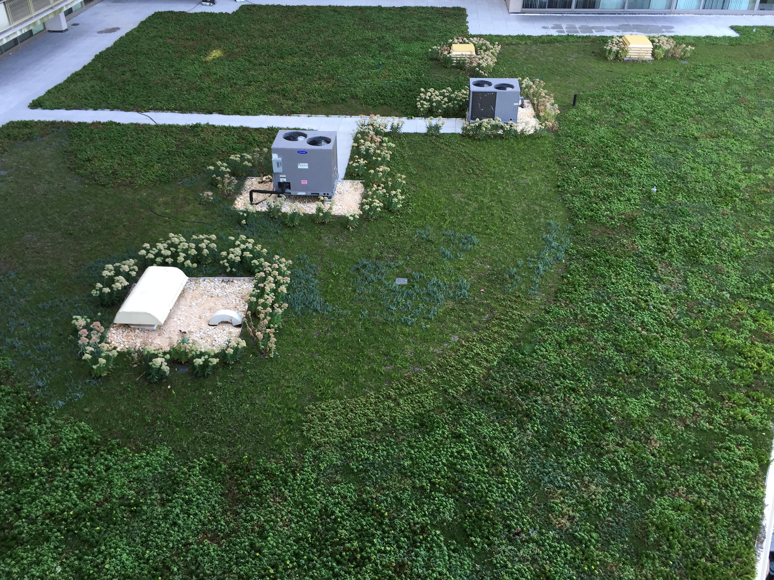 green roof with air conditioning equipment