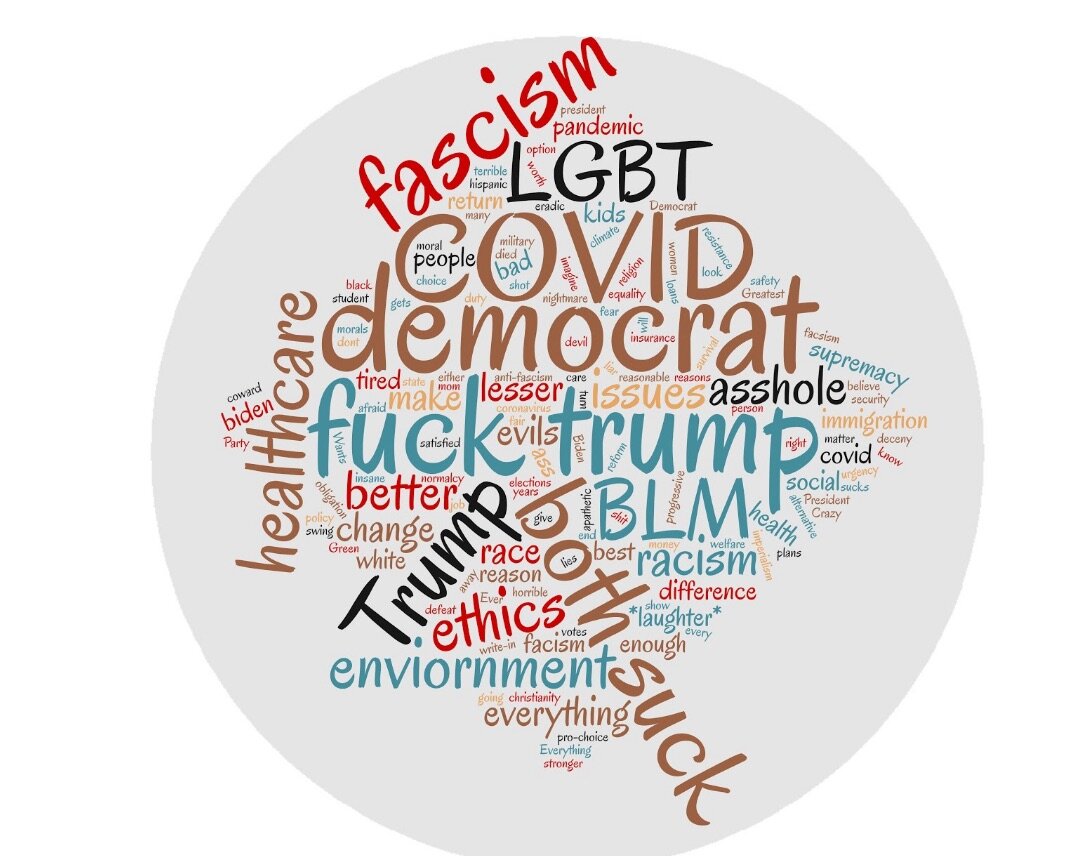 This word cloud represents the reasons why voters chose a certain candidate. Generated with wordclouds.com.