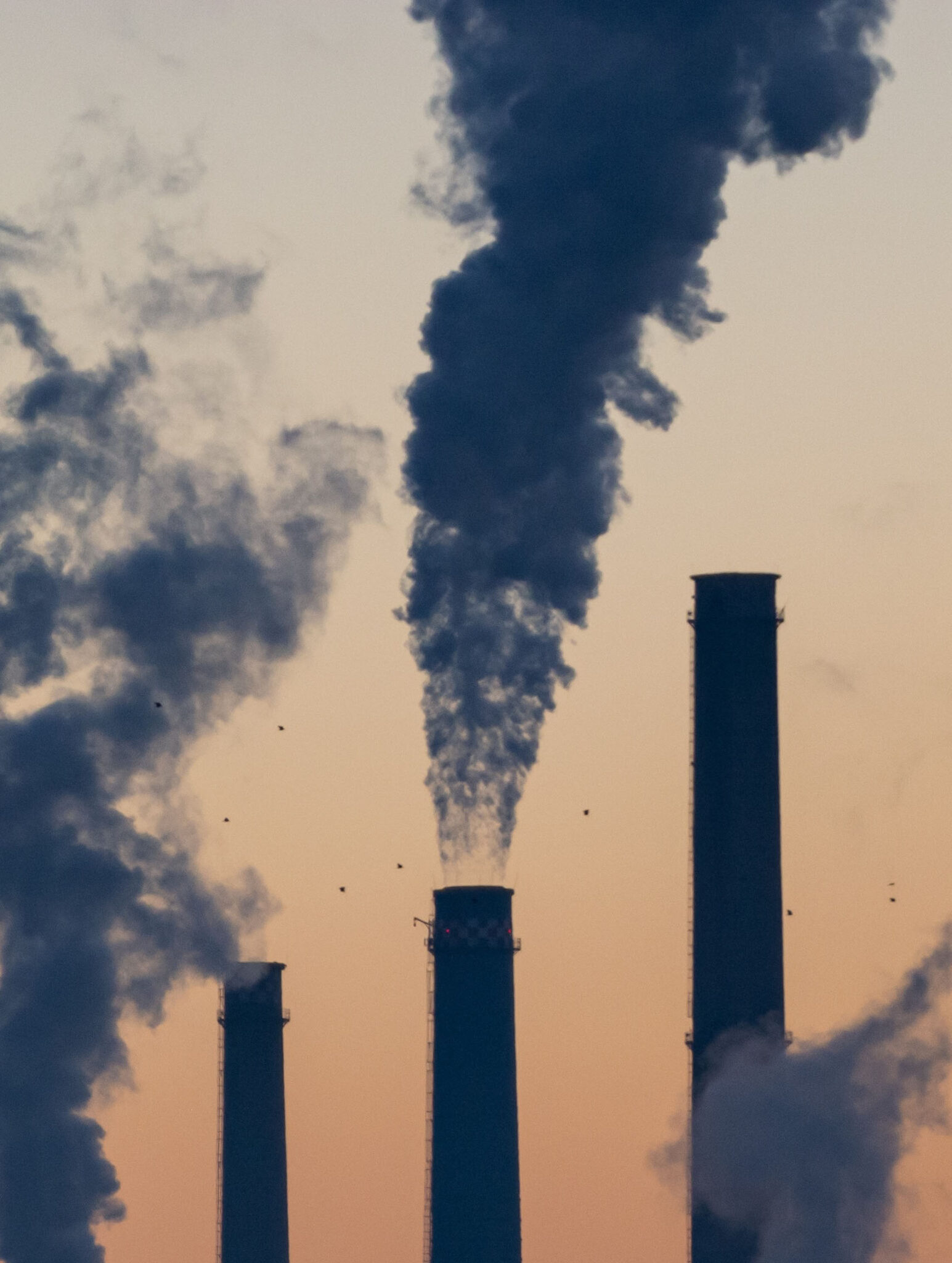 Tighter Regulation Sought for TrashBurning Power Plants Grid Magazine