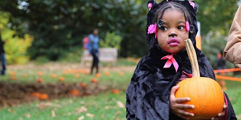 Halloween & Fall Festival Face Painting