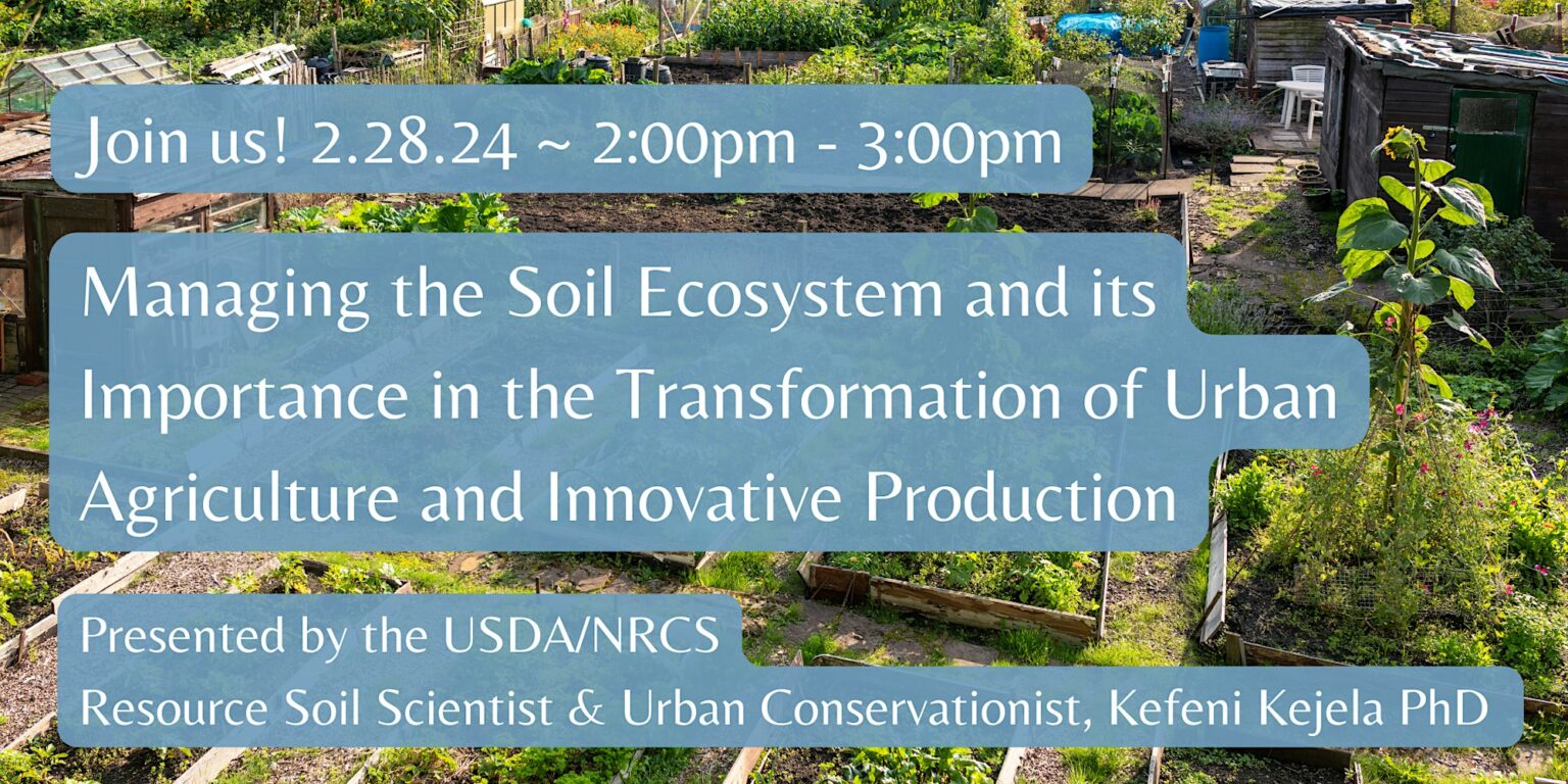 Managing the Soil Ecosystem and its Importance in Urban Agriculture ...