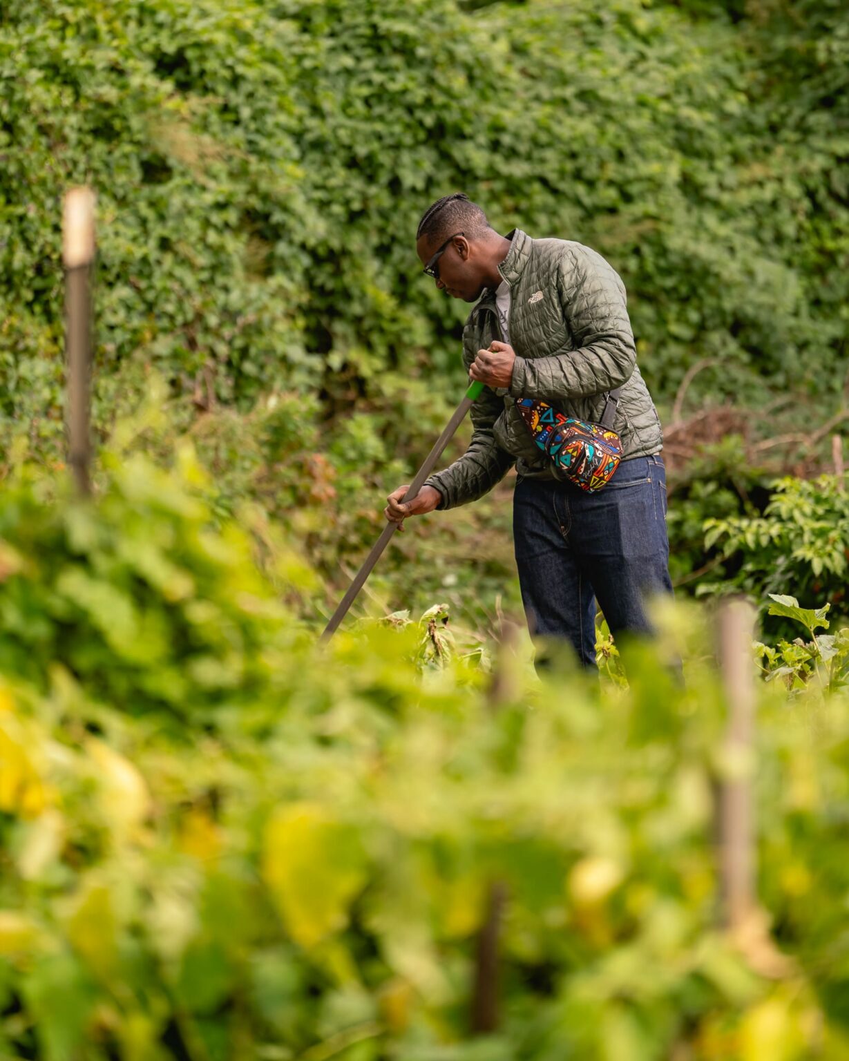 SWWAG Workshop – Orchard Pests and Disease Management - Grid Magazine